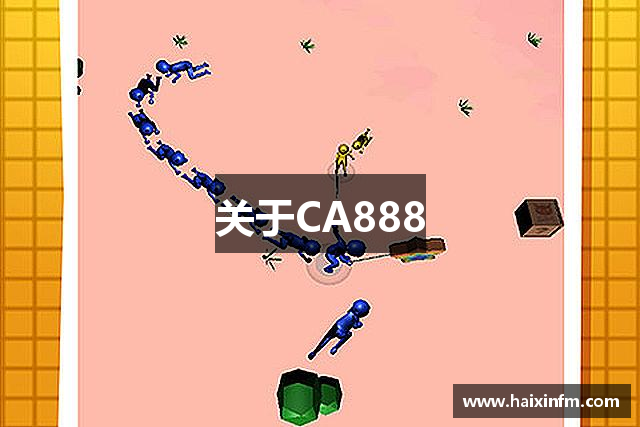关于CA888